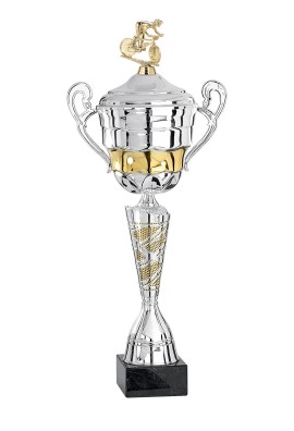 Coupe Personnalisée Métal : 5601W-D