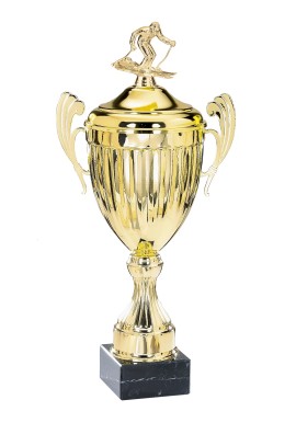 Coupe Personnalisée Métal : 6131W-D