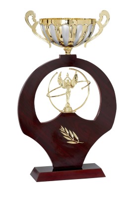 Coupe Prestige Bois et Métal : 7001