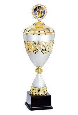 Coupe Personnalisée Métal : 4561W-C