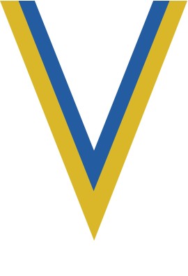 Ruban Médaille  Jaune/Bleu  : 6036