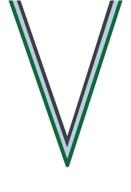 Ruban Médaille  Vert-Blanc/Noir  : 6046-1