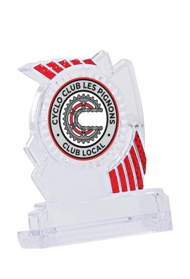 Trophée Personnalisé Votre Logo 133-53-LO