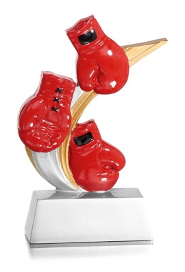 Trophée Boxe 31903