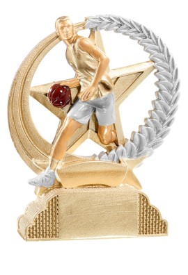 Trophée Basket 31302