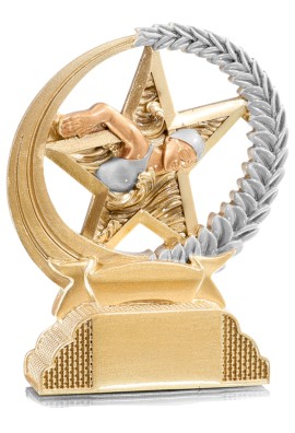 Trophée Natation 31323
