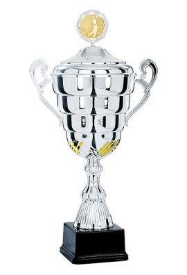 Coupe Personnalisée Métal : 5021W-D