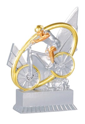 Trophée Cyclisme VTT 31431