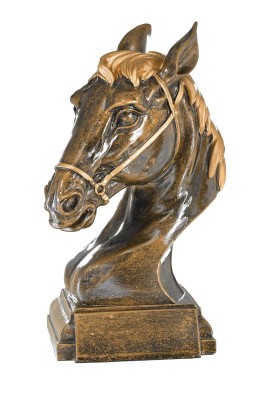 Trophée Équitation 20309