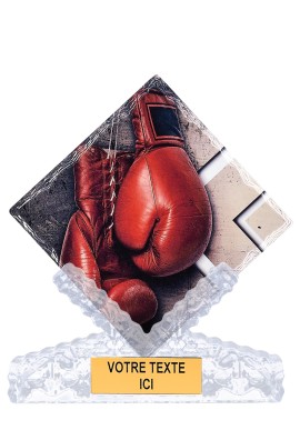 Trophée Boxe 46103