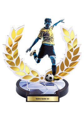 Trophée Bois Football 56504