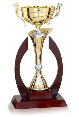 Coupe Prestige Bois et Métal : 5931