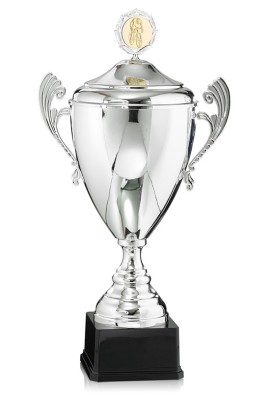 Coupe Personnalisée Métal : 6521W-C