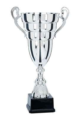 Coupe Prestige Métal : 6691