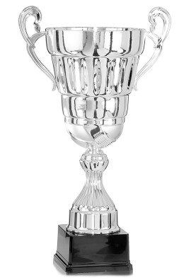 Coupe Prestige Métal : 6701