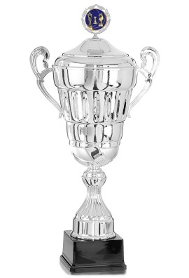 Coupe Personnalisée Métal : 6701W-C