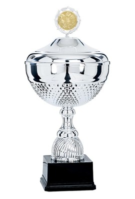 Coupe Personnalisée Métal : 6781W-C