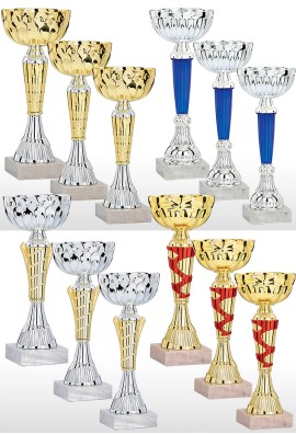 Lot de 12 Coupes : 2025-1