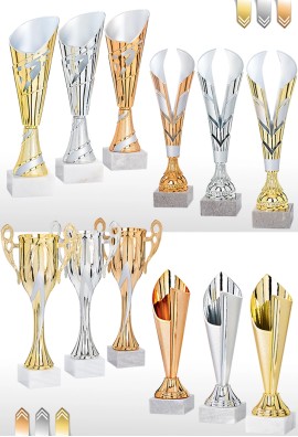 Lot de 12 Coupes : 2025-2