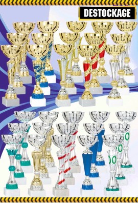 Lot de 30 Coupes : 2022-716