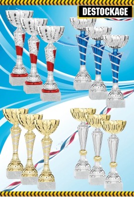 Lot de 12 Coupes : 2022-516