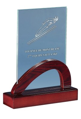 Trophée Verre & Bois Personnalisé 165-11-CLI