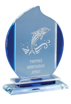 Trophée Verre Personnalisé 171-61-CLI