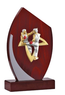 Trophée Bois Personnalisé 128-12-NJ