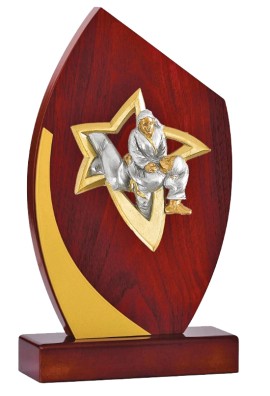 Trophée Bois Personnalisé 128-13-NJ