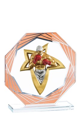 Trophée Verre Personnalisé 130-11-NJ