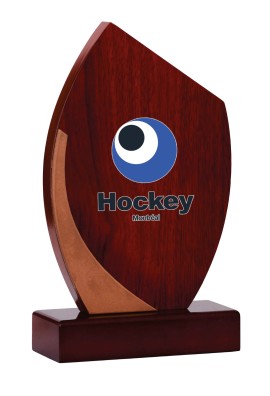 Trophée Bois Personnalisé 151-11-SU