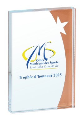 Trophée Verre Personnalisé 154-11-LO
