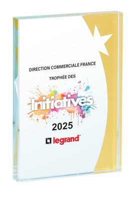 Trophée Verre Personnalisé 154-13-LO