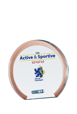Trophée Verre Personnalisé 155-01-SU