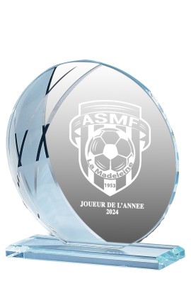 Trophée Verre Personnalisé 161-12-CLI