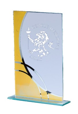 Trophée Verre Personnalisé 162-33-CLI
