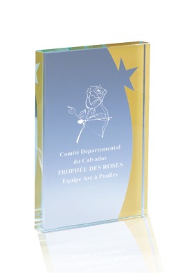 Trophée Verre Personnalisé 168-33-LO