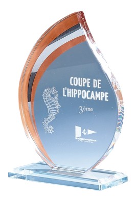 Trophée Verre Personnalisé 170-01-LO