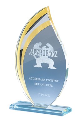 Trophée Verre Personnalisé 170-03-CLI