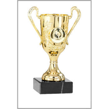 picture_320013_343842