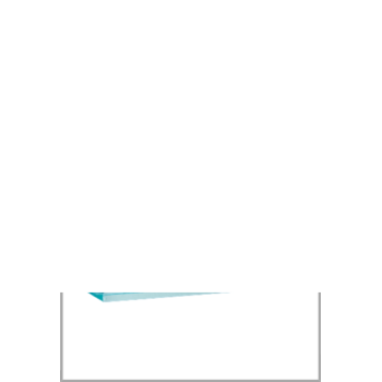 picture_300010_343857