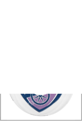 Médaille en Verre Ø 70 mm Logotée - F2-S