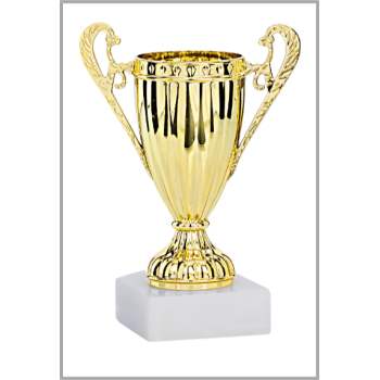 picture_320014_343859