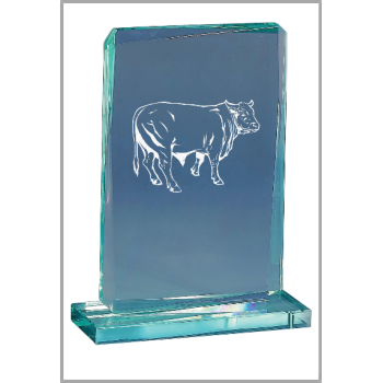 picture_300082_343870