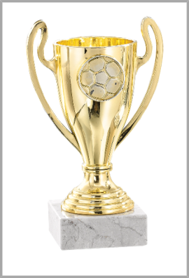 picture_320017_343871