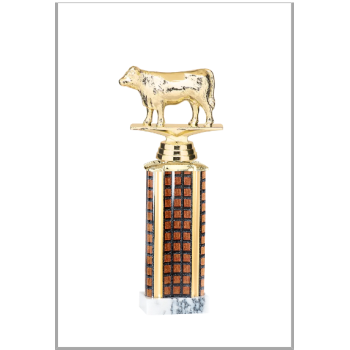 picture_340535_343873