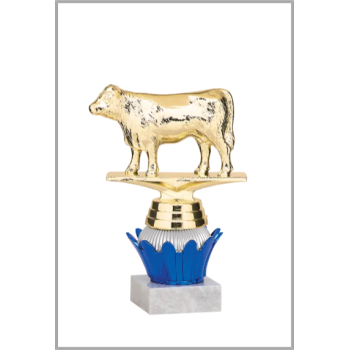 picture_340521_343877