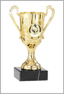 picture_320013_343883