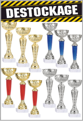 Lot de 12 Coupes : 2022-116