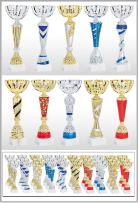 picture_320007_343933